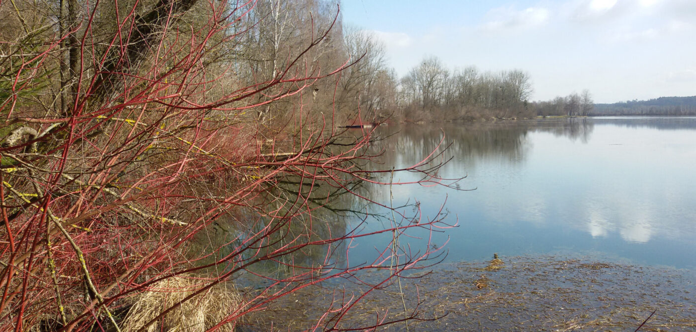 Flusslandschaft_Au_www